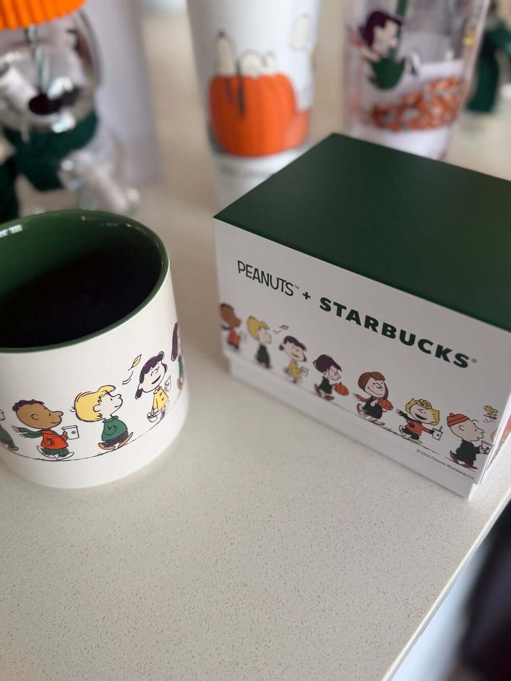 Starbucks Peanuts Snoopy Characters Ceramic Mug with Box